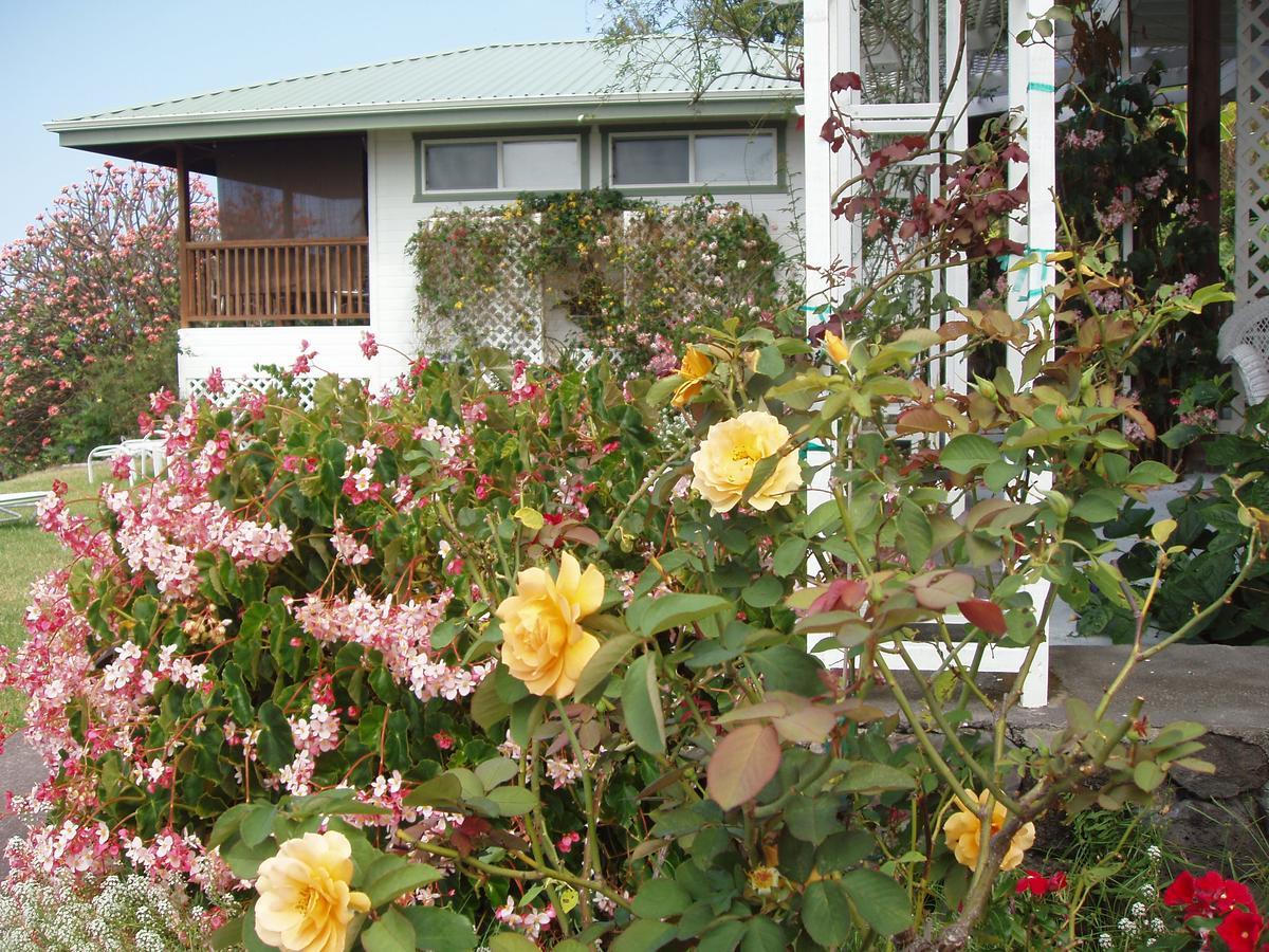 Belle Vue Kona Inc Bed & Breakfast กัปตันคุก ภายนอก รูปภาพ